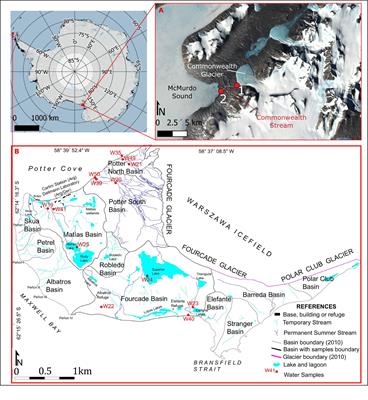 Silicon Isotopic Composition of Dry and Wet-Based Glaciers in Antarctica